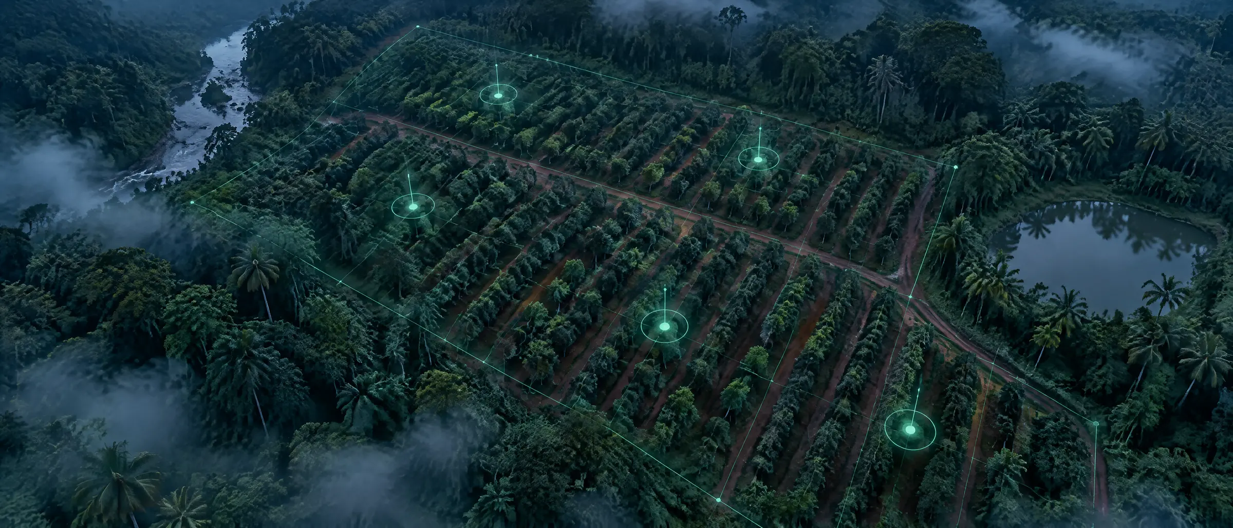Aerial view of an agarwood plantation with a holographic mapping overlay