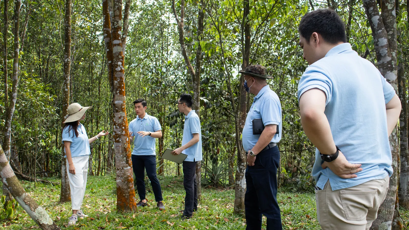 OUD Token leaders walking through a Westwood Group agarwood plantation